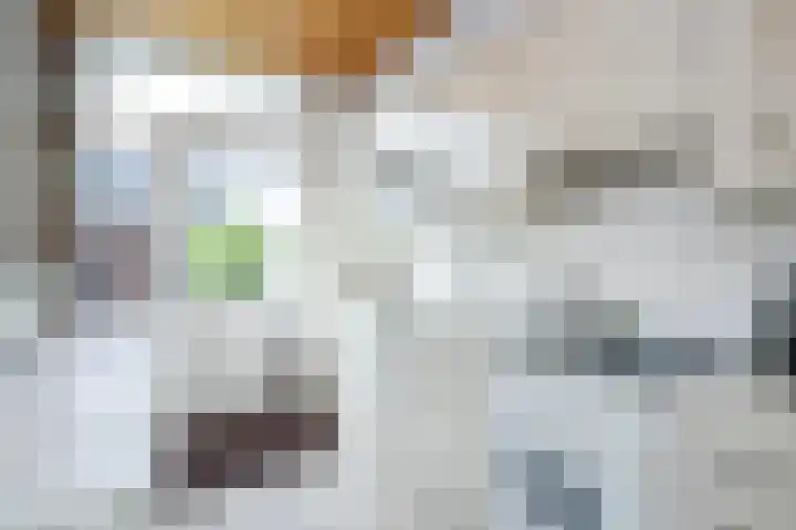 Rubensplein 3 Middelharnis thumbnail 9