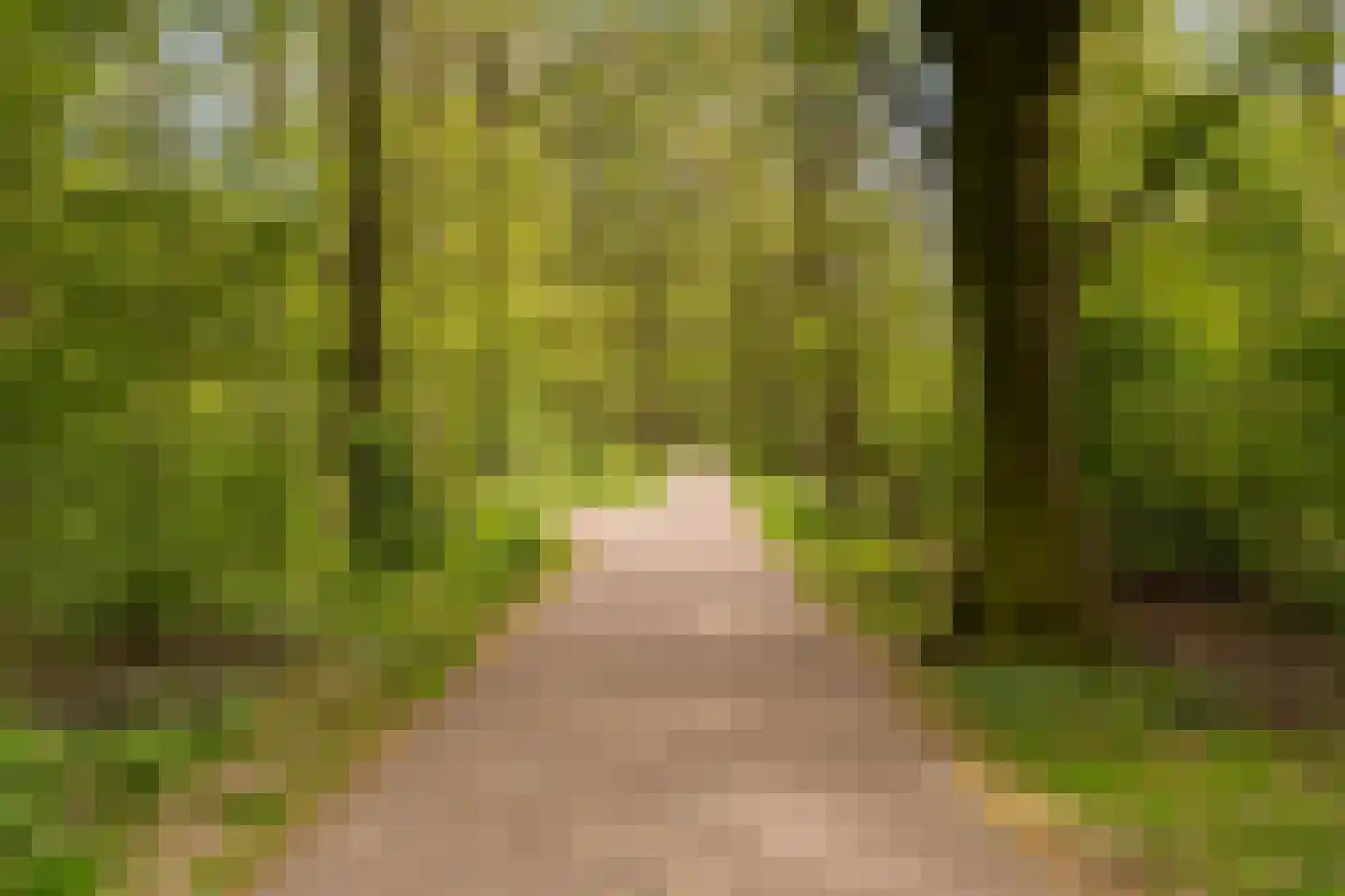 Rubensplein 4 D Schiedam thumbnail 38