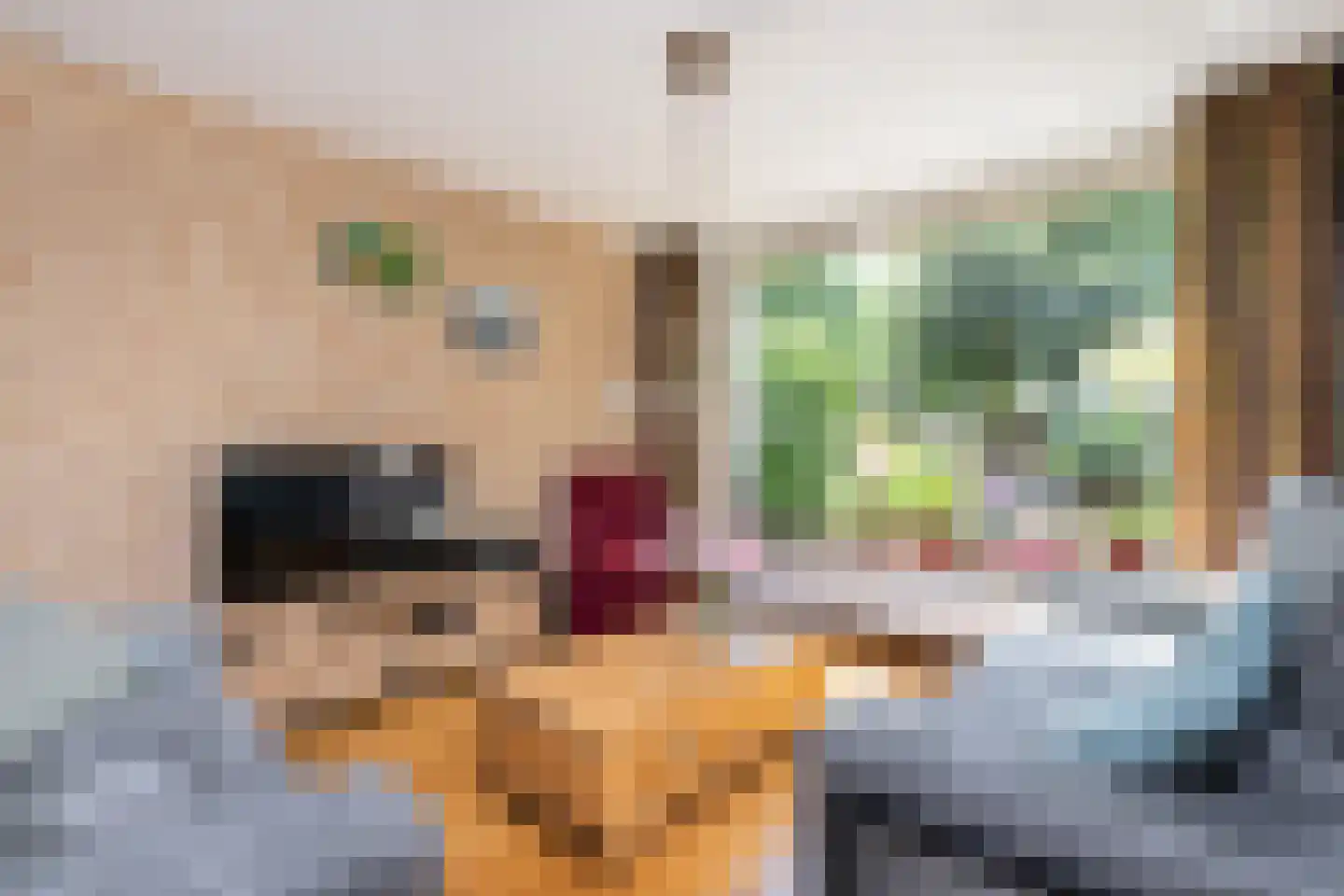 Rubensplein 46 Middelharnis thumbnail 5