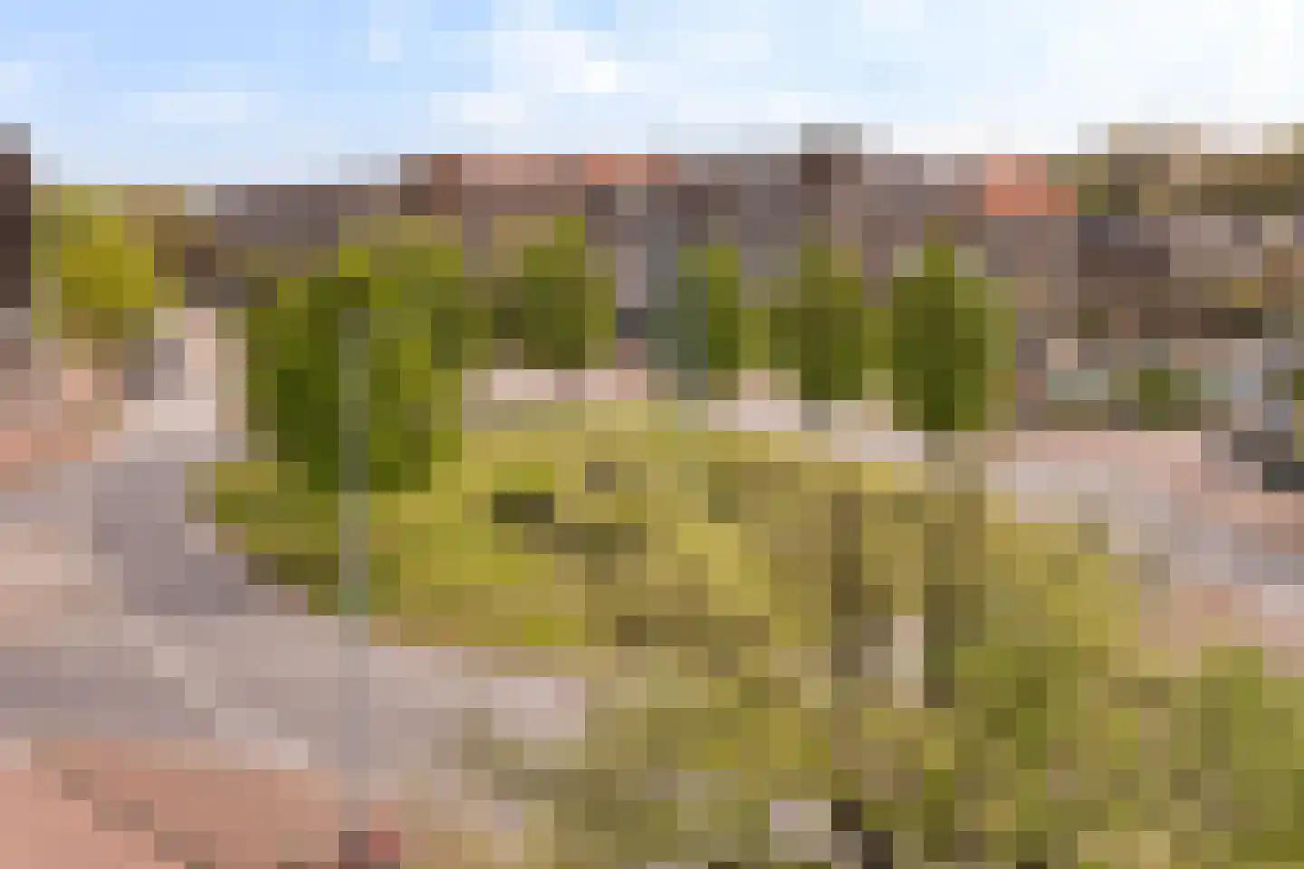 Rubensplein 5 D Schiedam thumbnail 38