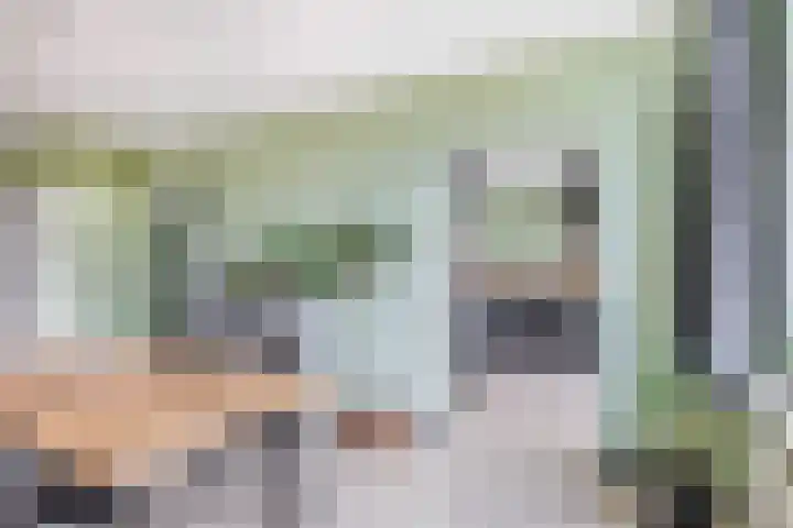 Rubenssingel 105 Capelle aan den IJssel thumbnail 10