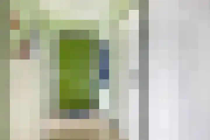 Rubenssingel 105 Capelle aan den IJssel thumbnail 11