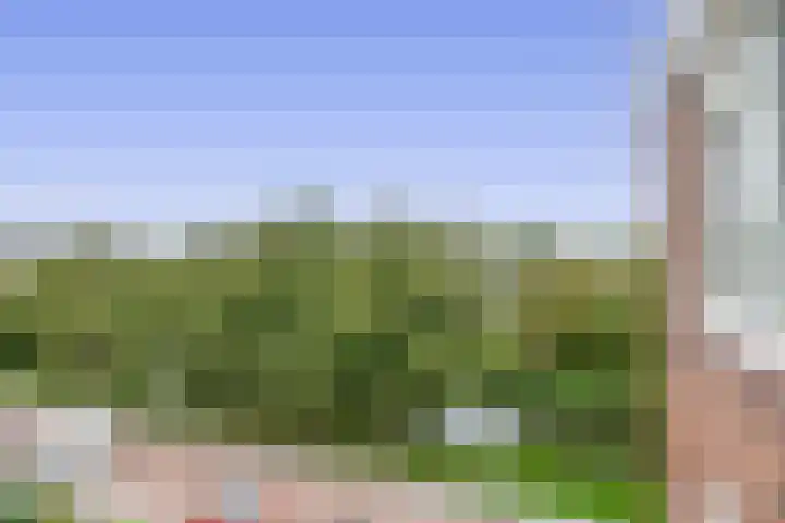 Rubenssingel 105 Capelle aan den IJssel thumbnail 21