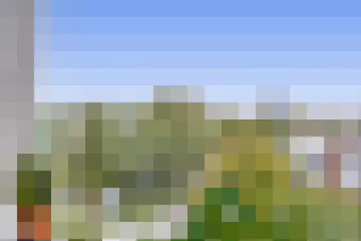 Rubenssingel 105 Capelle aan den IJssel thumbnail 24