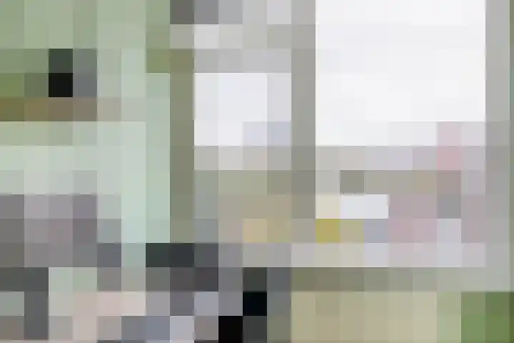 Rubenssingel 105 Capelle aan den IJssel thumbnail 26