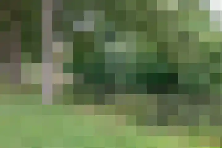 Rubenssingel 105 Capelle aan den IJssel thumbnail 38