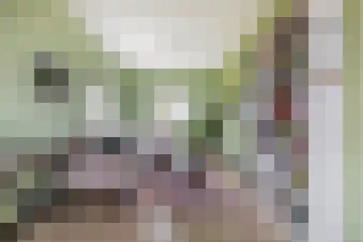Rubenssingel 105 Capelle aan den IJssel thumbnail 4