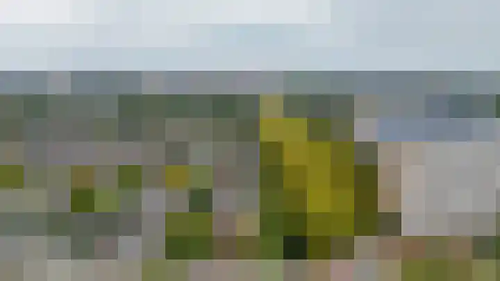 Rubenssingel 105 Capelle aan den IJssel thumbnail 42