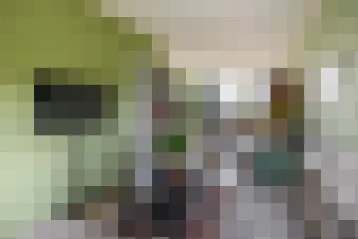 Rubenssingel 105 Capelle aan den IJssel thumbnail 6