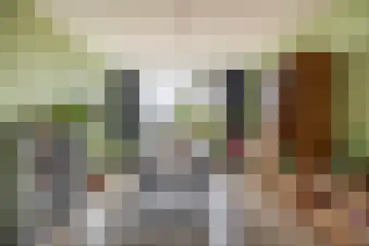 Rubenssingel 105 Capelle aan den IJssel thumbnail 7