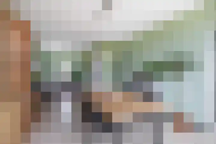 Rubenssingel 105 Capelle aan den IJssel thumbnail 9