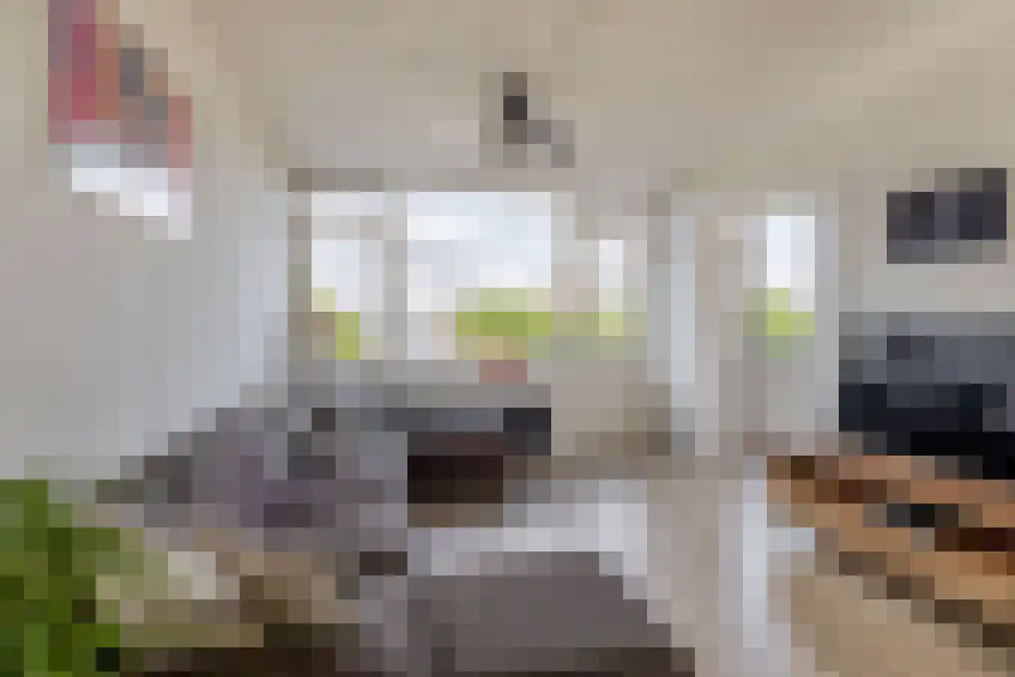 Rubenssingel 107 Capelle aan den IJssel thumbnail 14