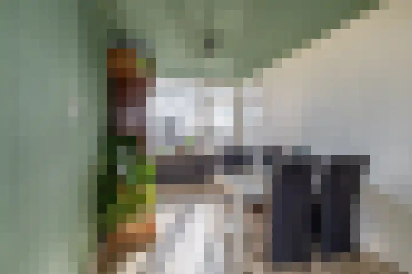 Rubenssingel 107 Capelle aan den IJssel thumbnail 17