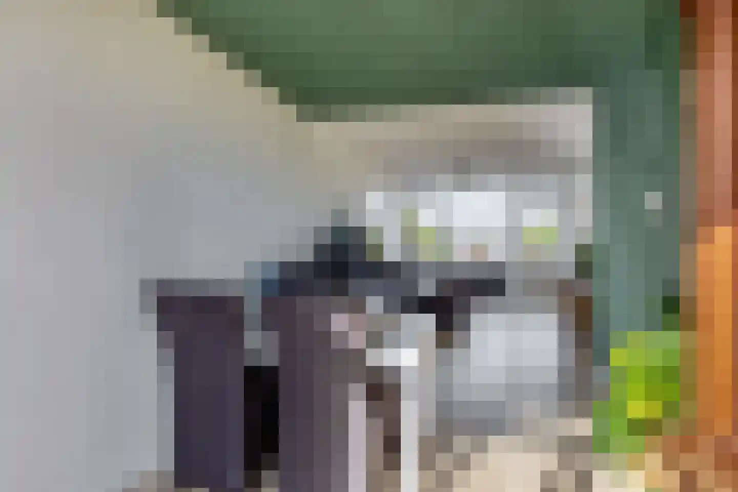 Rubenssingel 107 Capelle aan den IJssel thumbnail 18