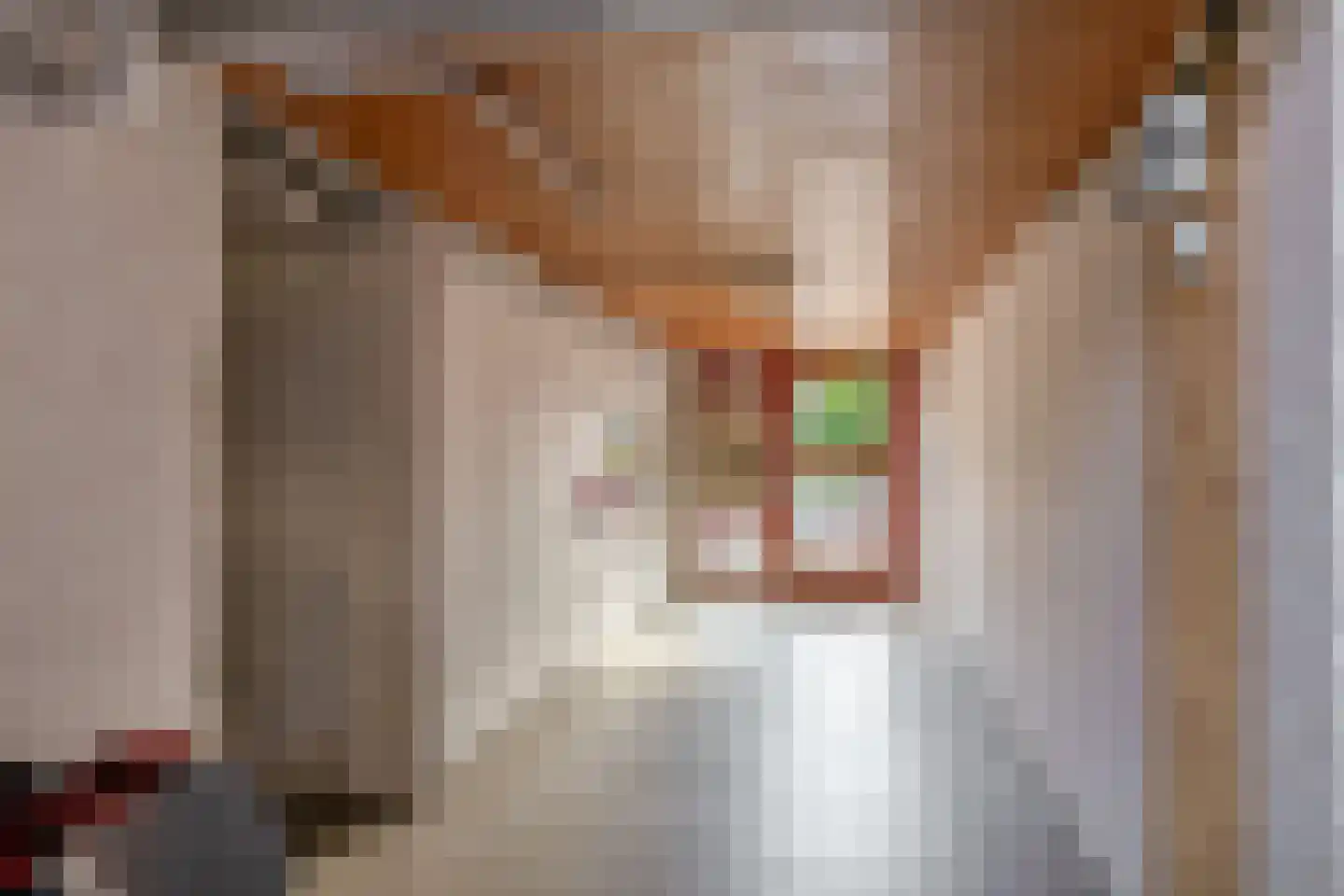 Rubenssingel 107 Capelle aan den IJssel thumbnail 6
