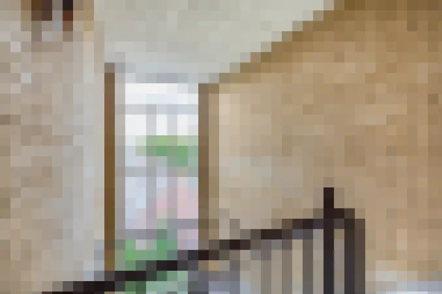Rubenssingel 107 Capelle aan den IJssel thumbnail 8