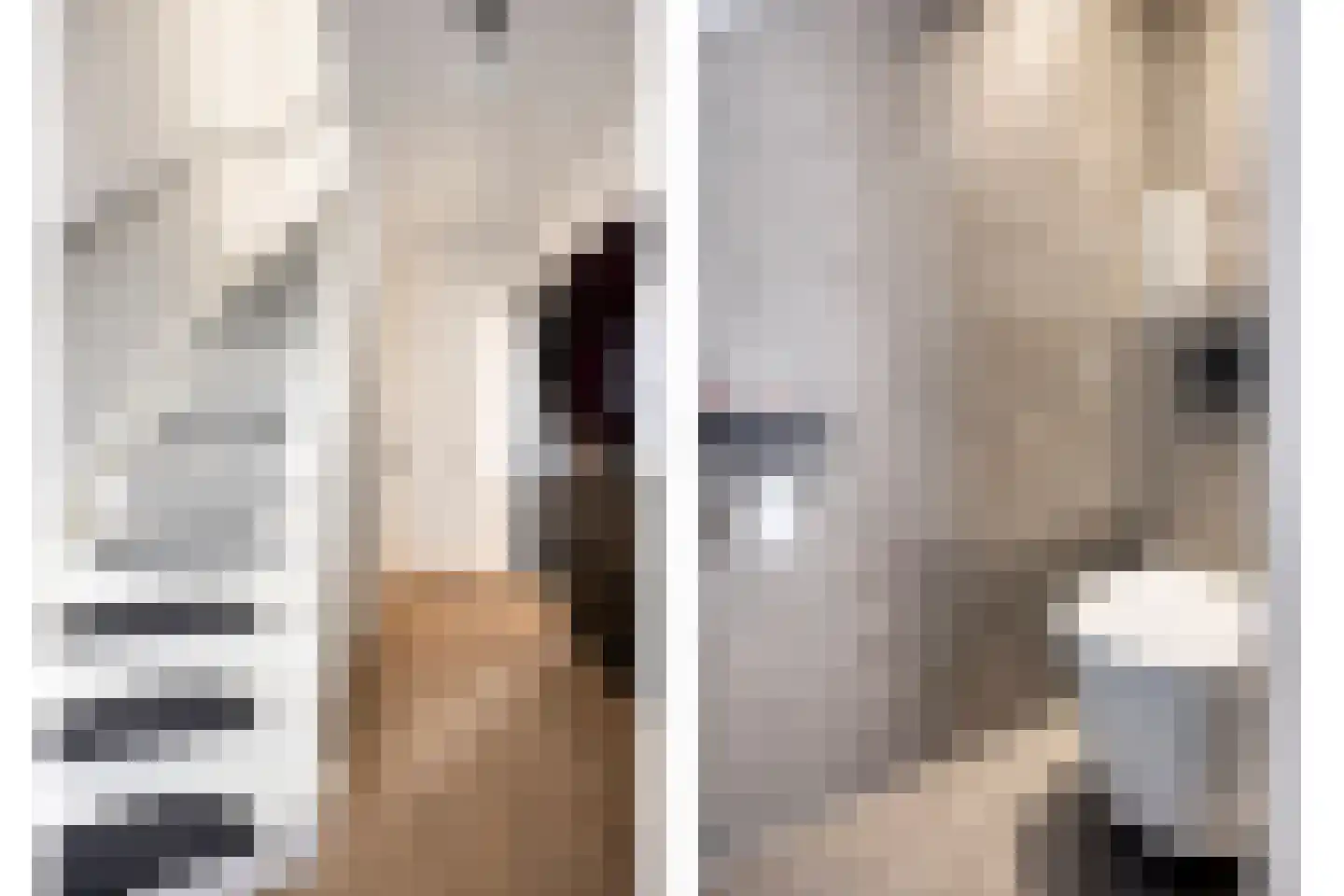 Rubenssingel 119 Capelle aan den IJssel thumbnail 10