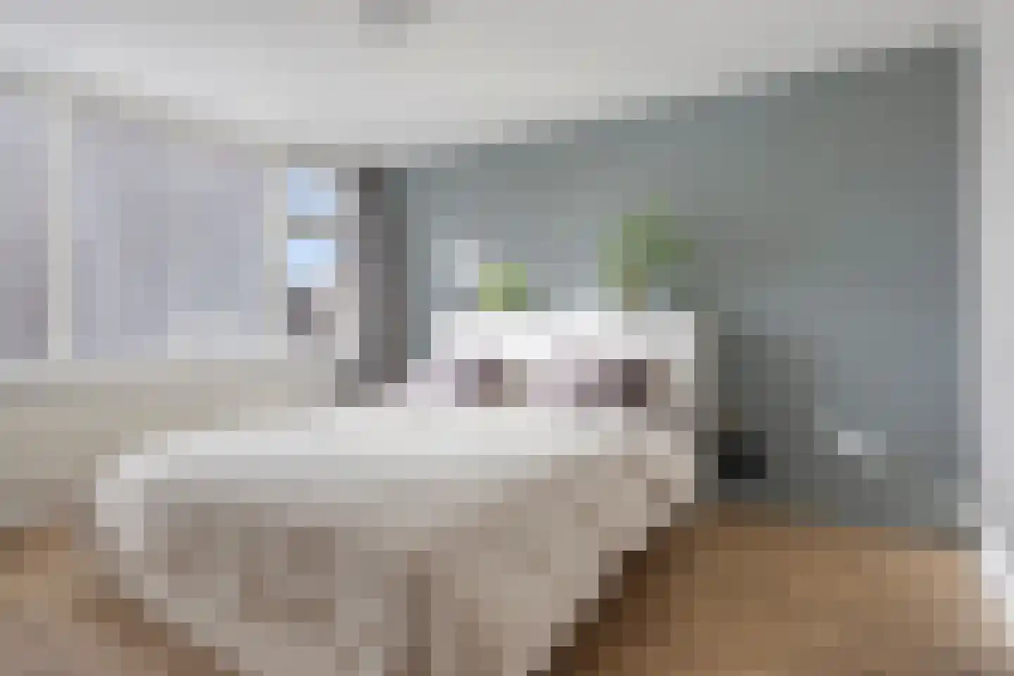 Rubenssingel 119 Capelle aan den IJssel thumbnail 13