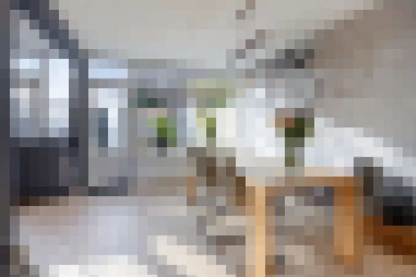 Rubenssingel 119 Capelle aan den IJssel thumbnail 8
