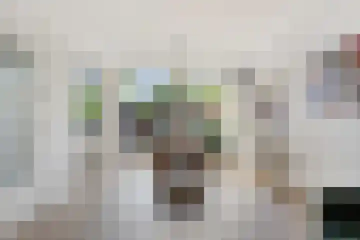 Rubenssingel 123 Capelle aan den IJssel thumbnail 15