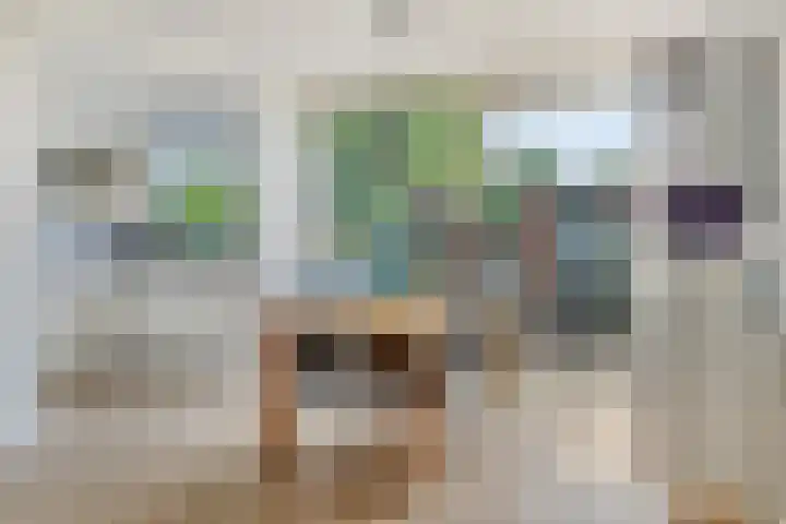 Rubenssingel 123 Capelle aan den IJssel thumbnail 17