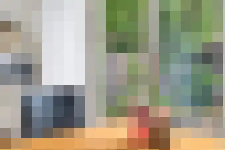 Rubenssingel 123 Capelle aan den IJssel thumbnail 18