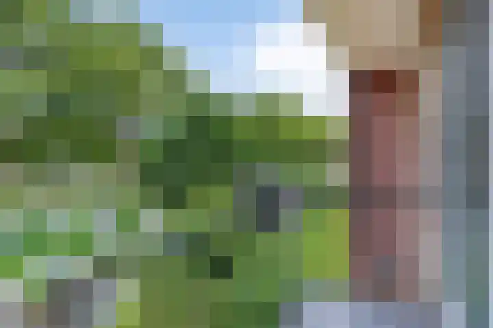 Rubenssingel 123 Capelle aan den IJssel thumbnail 29