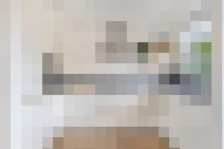 Rubenssingel 123 Capelle aan den IJssel foto 3