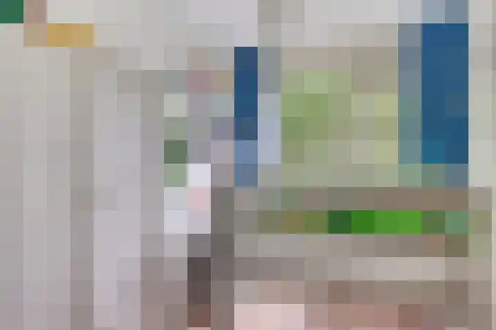 Rubenssingel 123 Capelle aan den IJssel thumbnail 30
