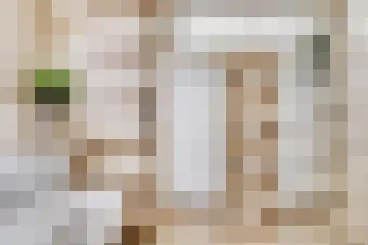 Rubenssingel 123 Capelle aan den IJssel thumbnail 31