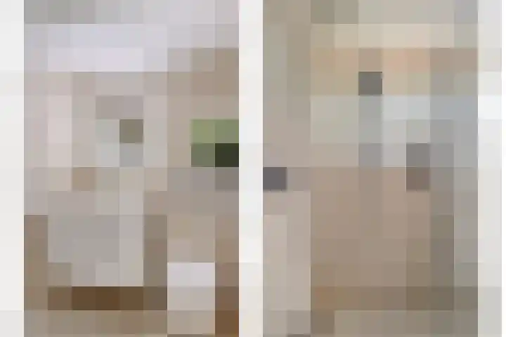 Rubenssingel 123 Capelle aan den IJssel thumbnail 32