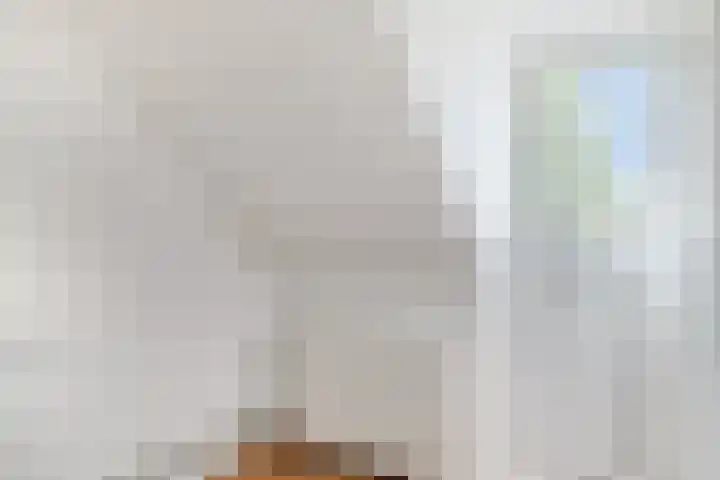 Rubenssingel 123 Capelle aan den IJssel thumbnail 35