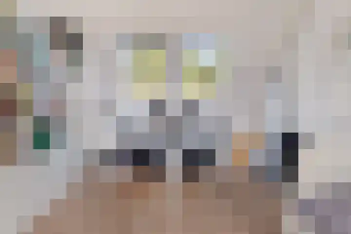 Rubenssingel 123 Capelle aan den IJssel thumbnail 37