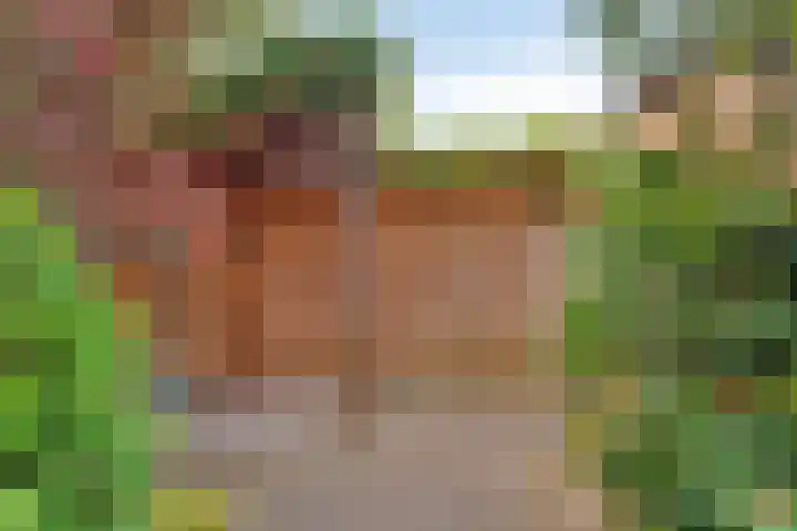 Rubenssingel 123 Capelle aan den IJssel thumbnail 39