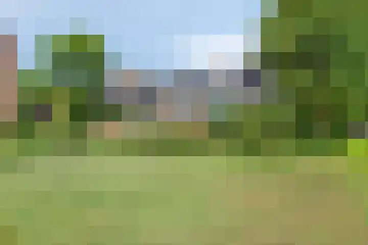 Rubenssingel 123 Capelle aan den IJssel thumbnail 43