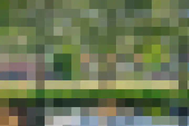 Rubenssingel 123 Capelle aan den IJssel thumbnail 5