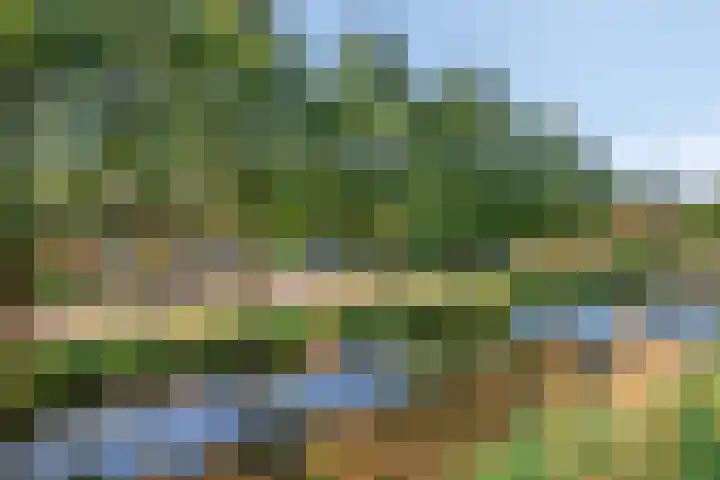 Rubenssingel 123 Capelle aan den IJssel thumbnail 6