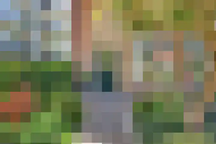 Rubenssingel 123 Capelle aan den IJssel thumbnail 9
