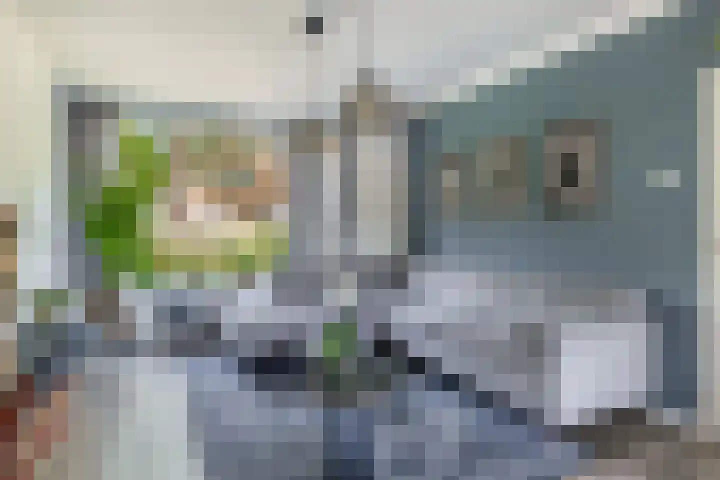 Rubenssingel 129 Capelle aan den IJssel thumbnail 6