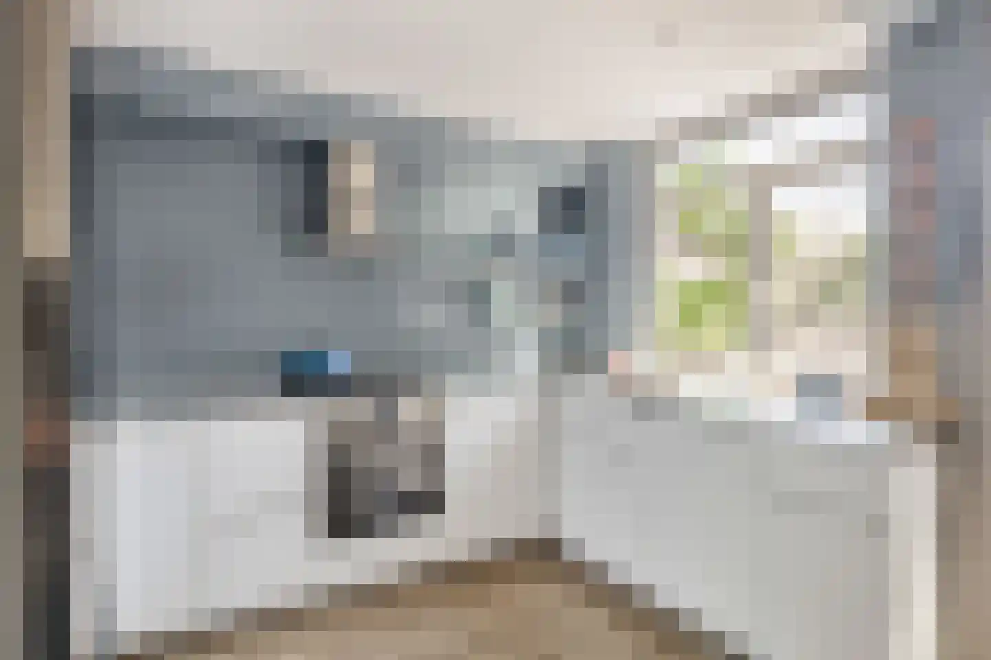 Rubenssingel 129 Capelle aan den IJssel thumbnail 9