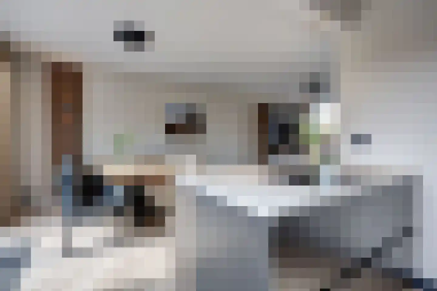Rubenssingel 14 Capelle aan den IJssel thumbnail 12