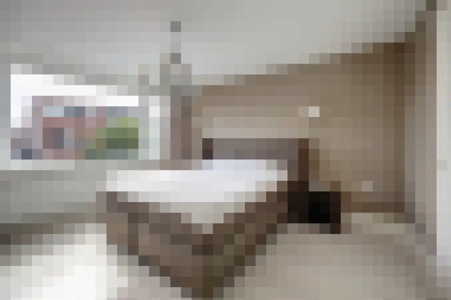 Rubenssingel 14 Capelle aan den IJssel thumbnail 17