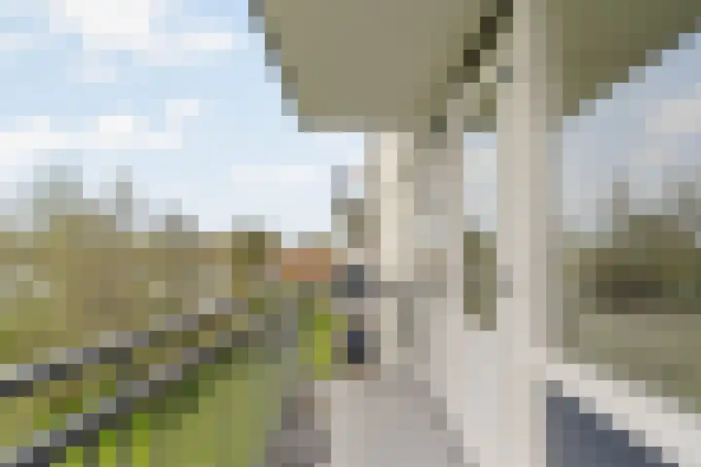 Rubenssingel 37 Capelle aan den IJssel thumbnail 21