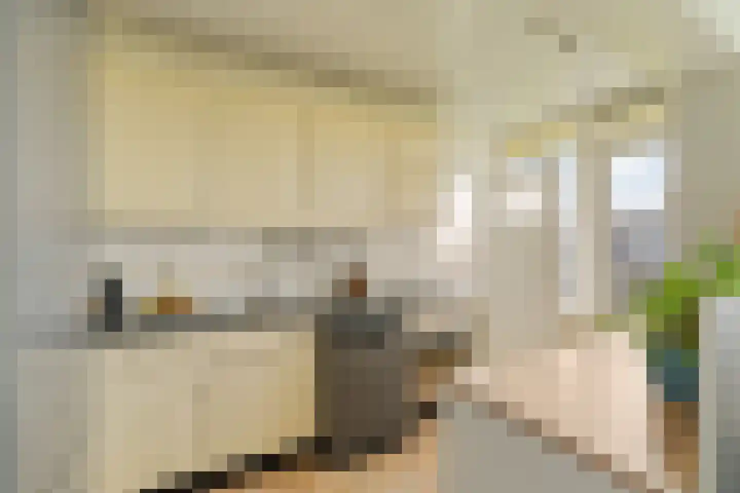 Rubenssingel 37 Capelle aan den IJssel thumbnail 6