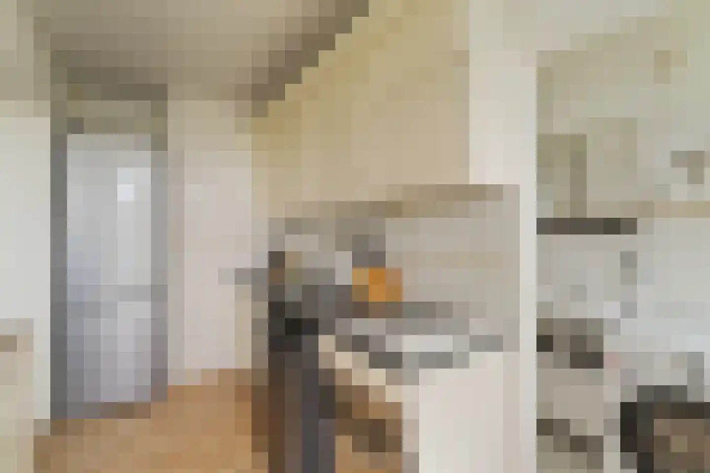 Rubenssingel 37 Capelle aan den IJssel thumbnail 8