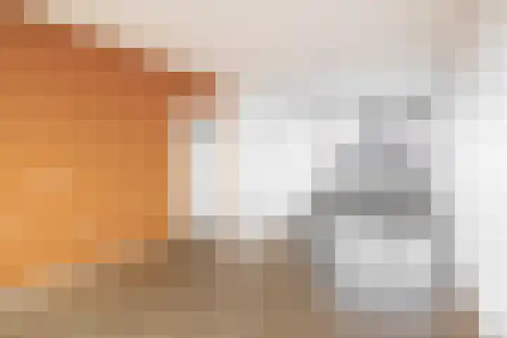 Rubenssingel 63 Capelle aan den IJssel thumbnail 4