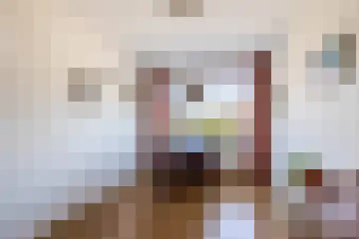 Rubenssingel 71 Capelle aan den IJssel thumbnail 16