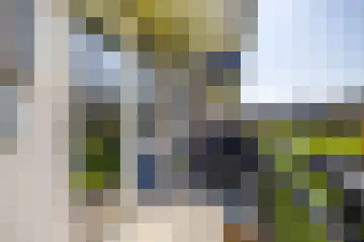 Rubenssingel 71 Capelle aan den IJssel thumbnail 22