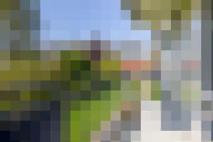 Rubenssingel 71 Capelle aan den IJssel thumbnail 23
