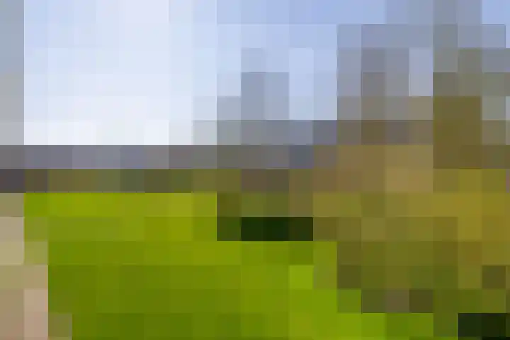 Rubenssingel 71 Capelle aan den IJssel thumbnail 24